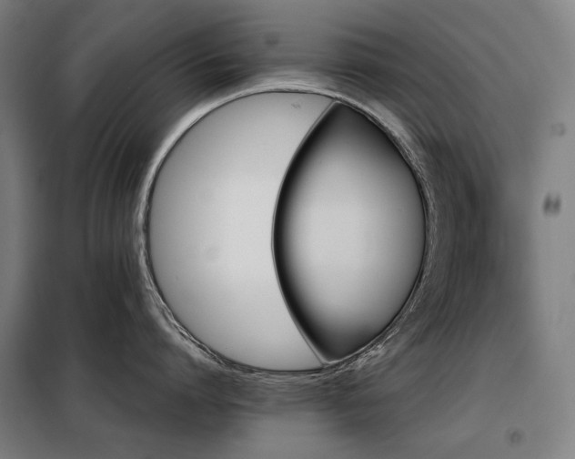 X0000098110864200804041342