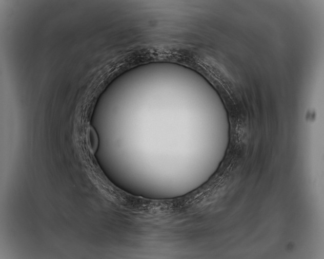 X0000098110865200804041341