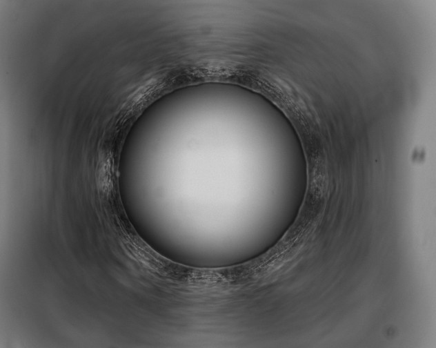 X0000098110866200804041341