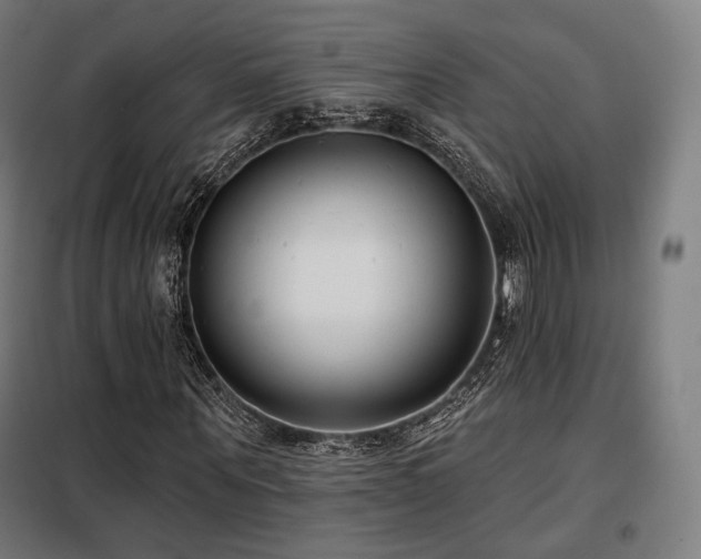 X0000098110867200804041341