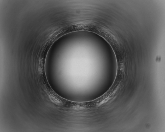 X0000098110868200804041341