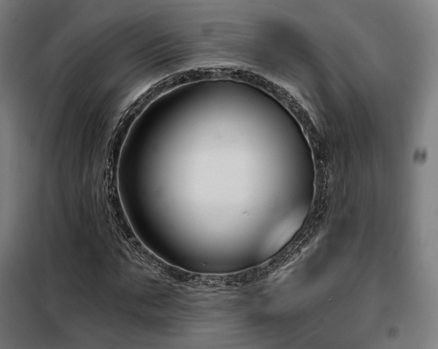 X0000098110871200804041341