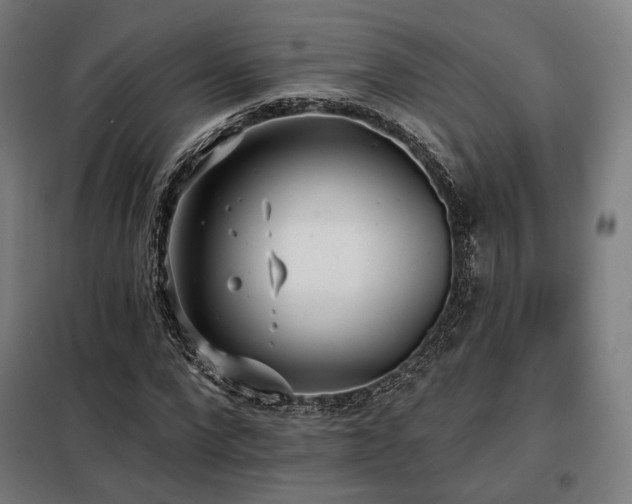 X0000098110872200804041341