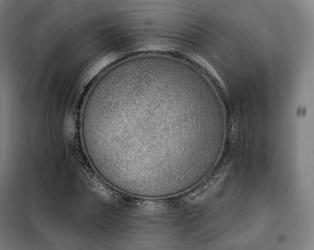 X0000098110874200804041341