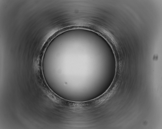 X0000098110875200804041341