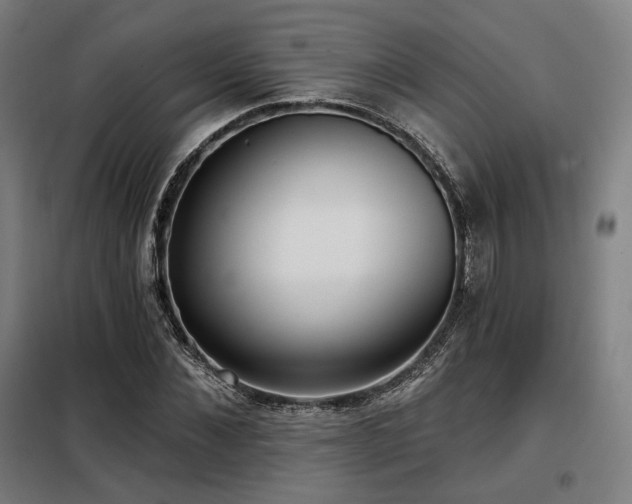 X0000098110876200804041341