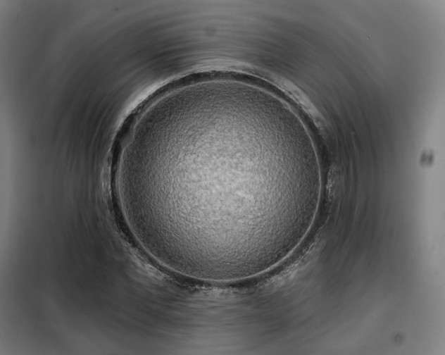 X0000098110877200804041341