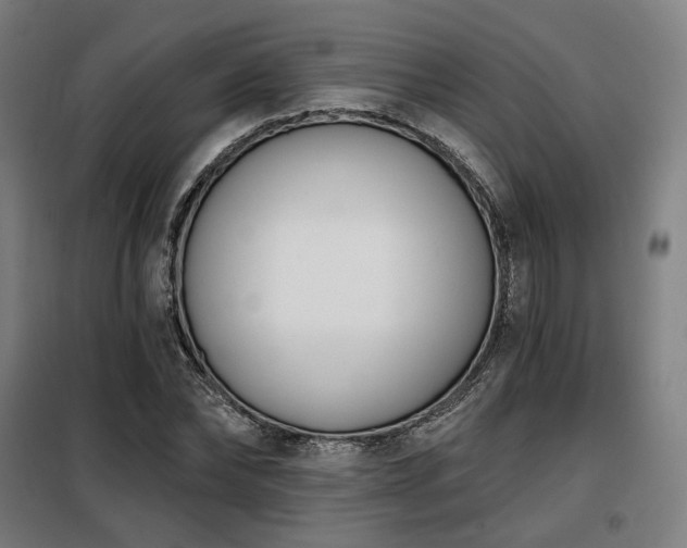 X0000098110878200804041341