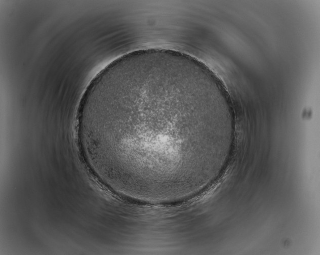 X0000098110879200804041341
