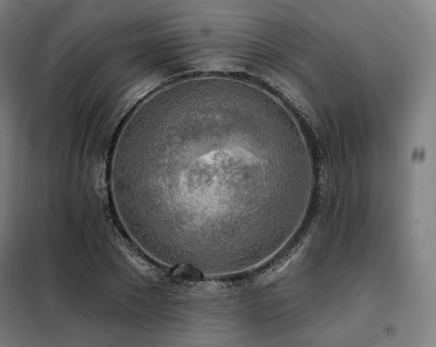 X0000098110881200804041341