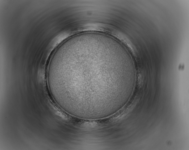 X0000098110882200804041341
