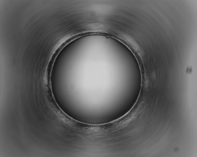 X0000098110883200804041341