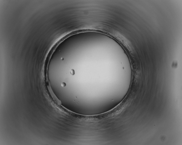 X0000098110884200804041341
