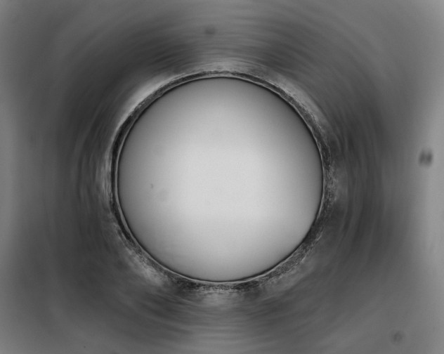 X0000098110886200804041341