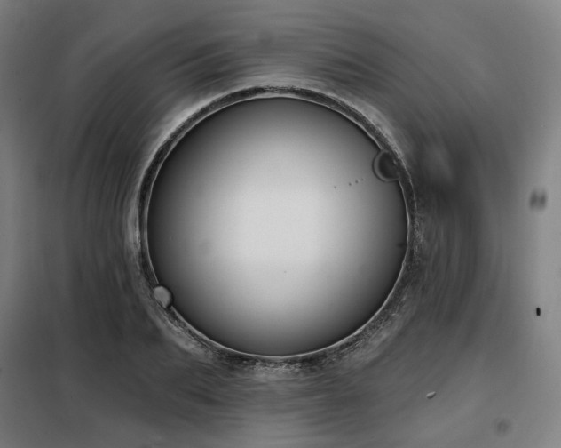 X0000098110887200804041341