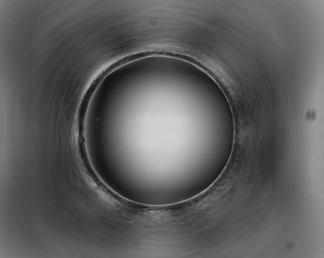 X0000098110888200804041341