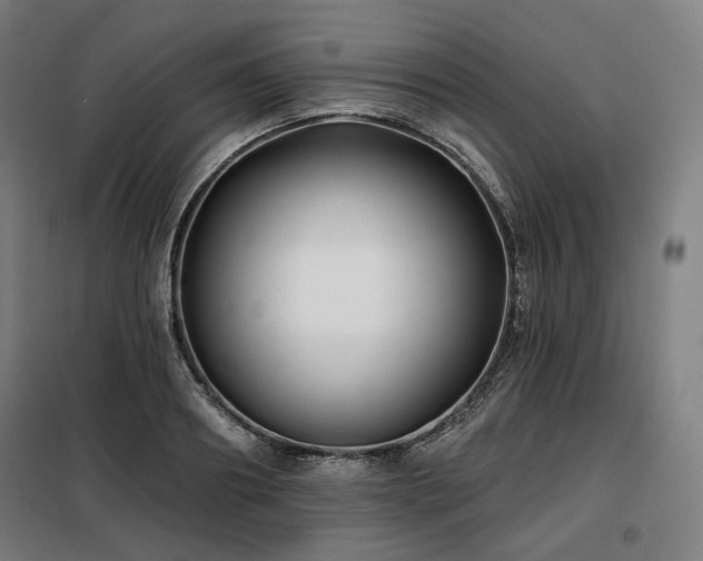 X0000098110890200804041341