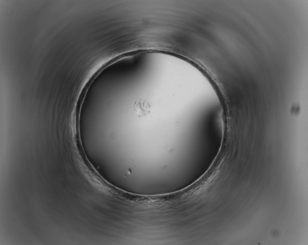 X0000098110891200804041341