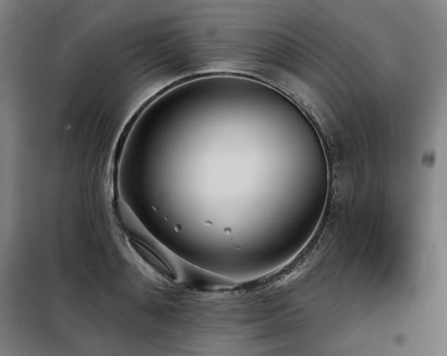 X0000098110892200804041341