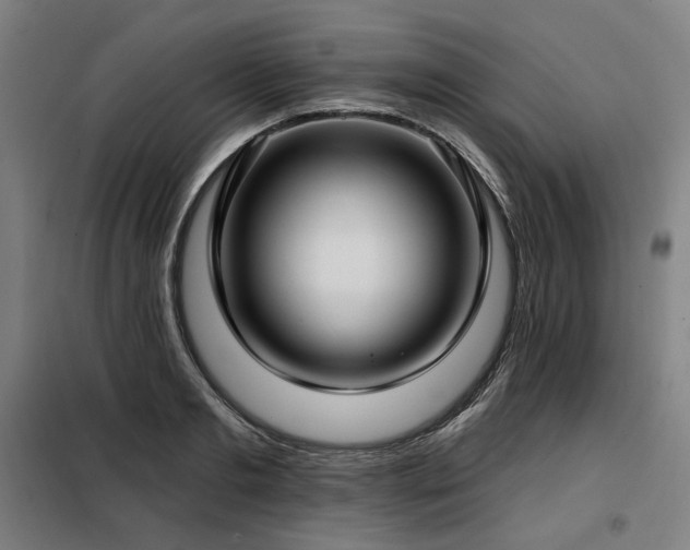 X0000098110893200804041341