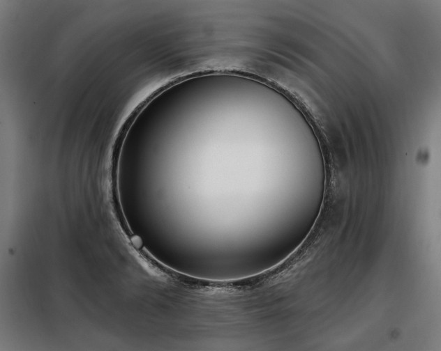 X0000098110894200804041341