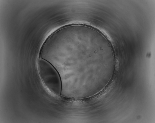 X0000098110895200804041341