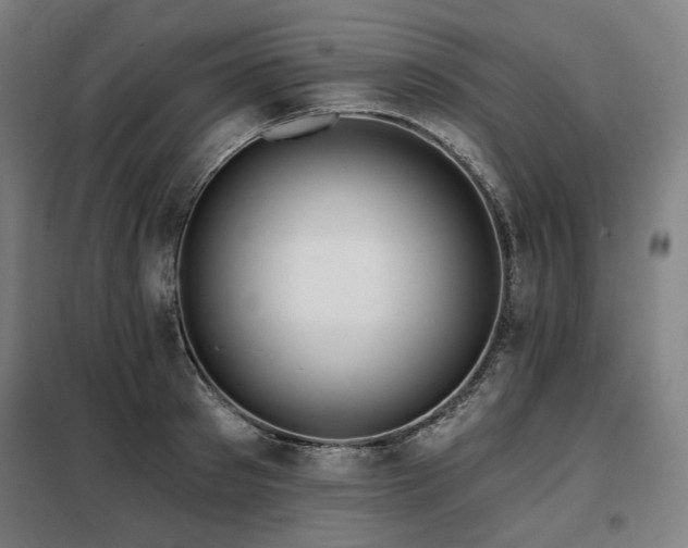 X0000098110897200804041341