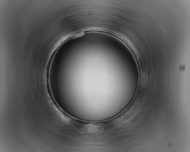 X0000098110898200804041341