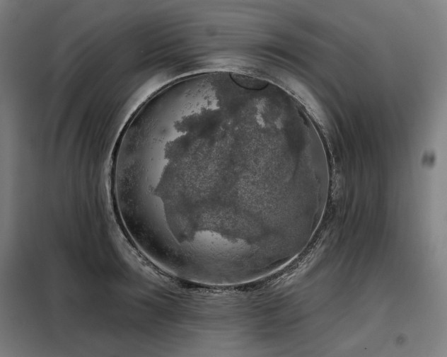 X0000098110899200804041341