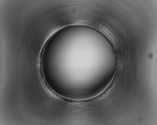 X0000098110900200804041341