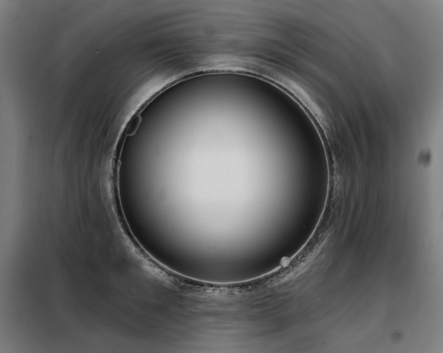 X0000098110901200804041341