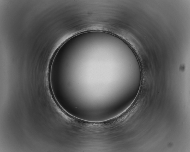 X0000098110902200804041341