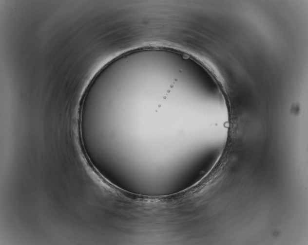 X0000098110903200804041341