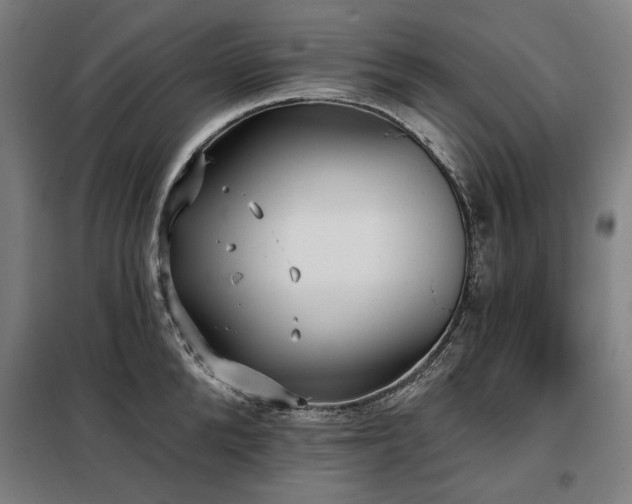 X0000098110904200804041341
