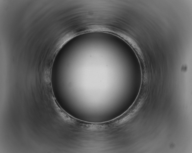 X0000098110905200804041341
