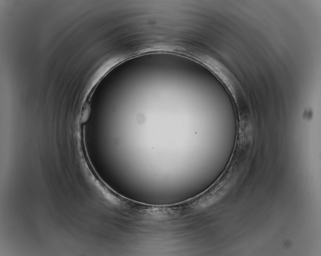 X0000098110906200804041341