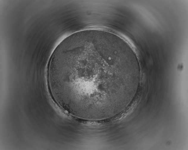 X0000098110907200804041341