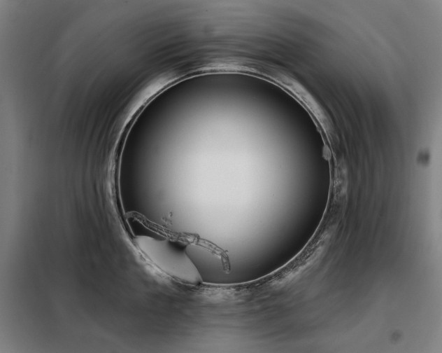 X0000098110909200804041341
