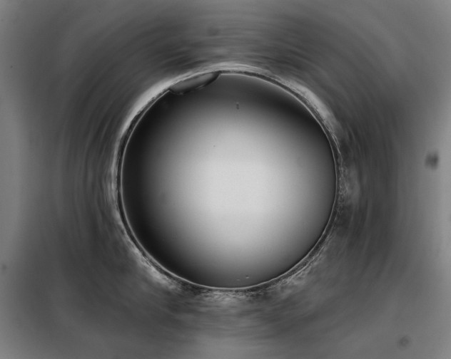 X0000098110910200804041341