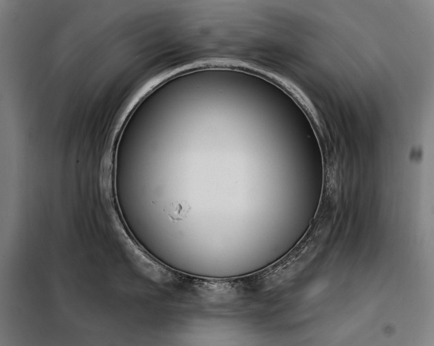X0000098110911200804041341