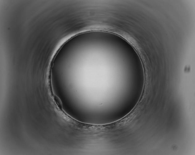 X0000098110912200804041341