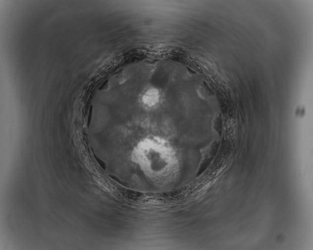 X0000098110913200804041340