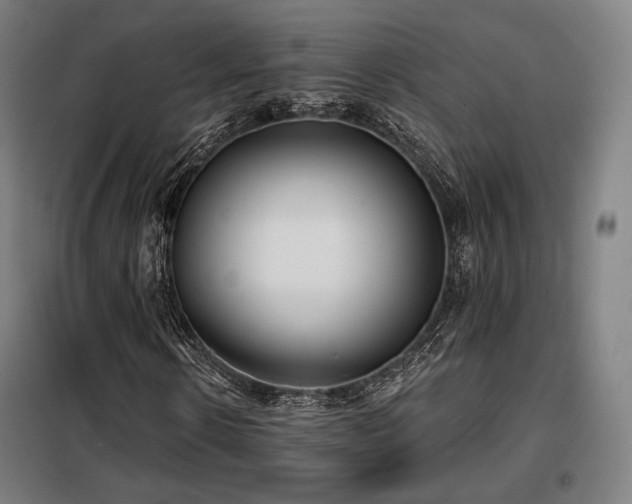 X0000098110914200804041340