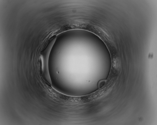 X0000098110915200804041340