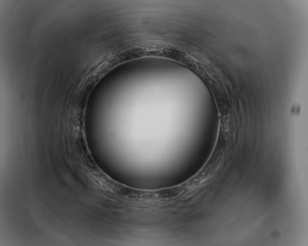 X0000098110916200804041340