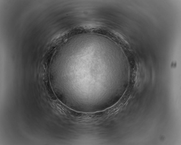 X0000098110917200804041340