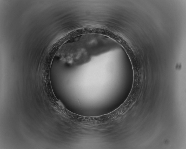 X0000098110919200804041340