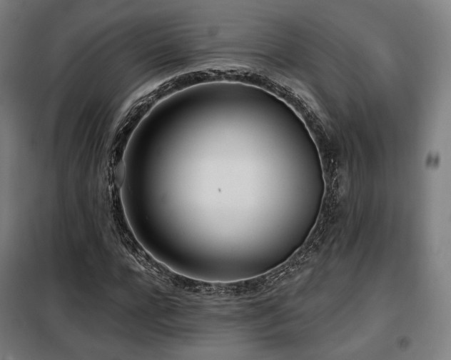 X0000098110920200804041340