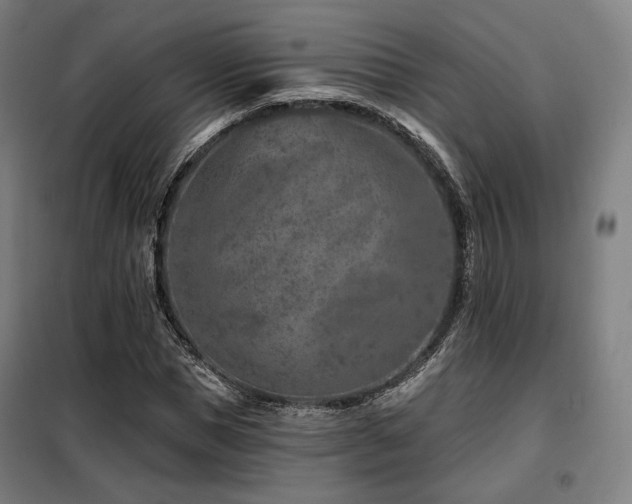 X0000098110921200804041340
