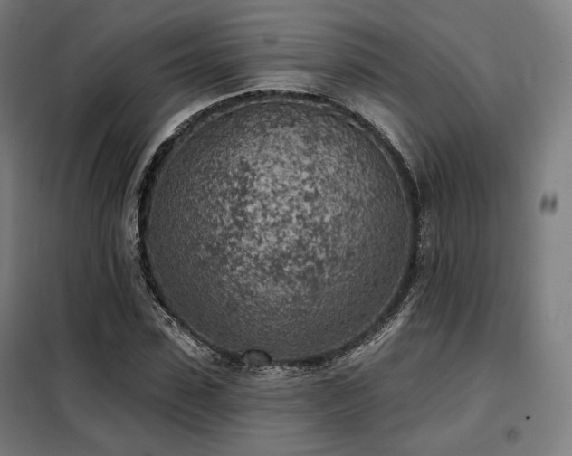 X0000098110923200804041340